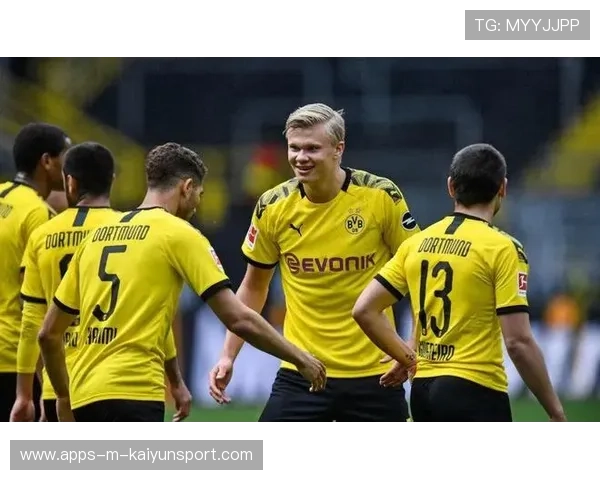 波尔图追哈兰德：九号核心的未来蓝图