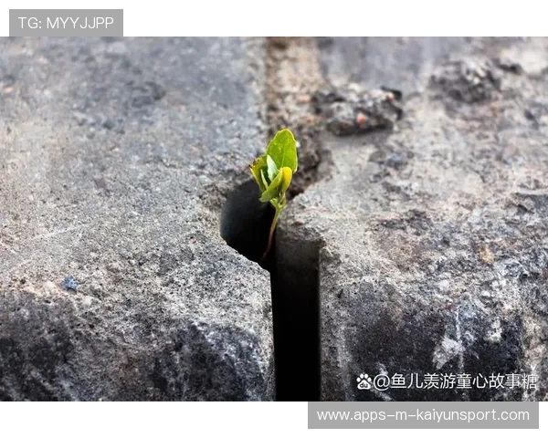 梁馨枰“人生只能是旷野”背后的坚韧与勇气